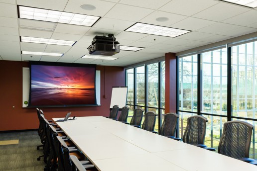 DaLite - Motorized Projection Screen