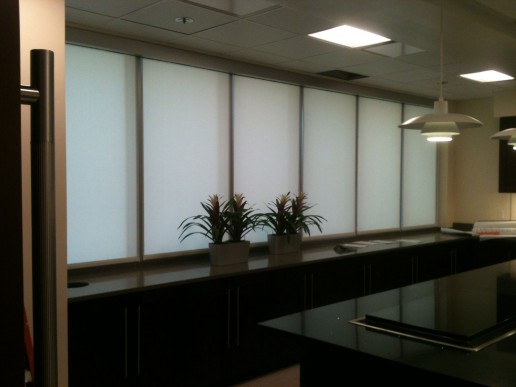 Lutron - Motorized Shades