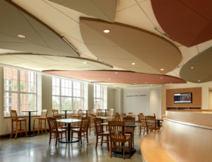 G&S Acoustics - Custom Shaped Ceiling Panels