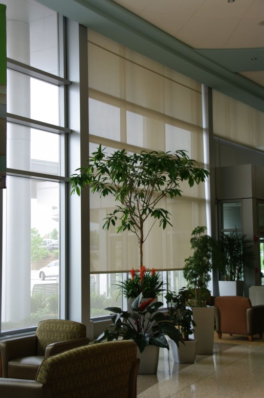 Mecho - Motorized Window Shades