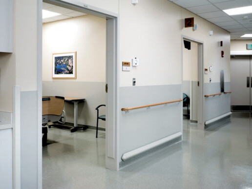 Pawling - Wood Handrail and Wall Guard